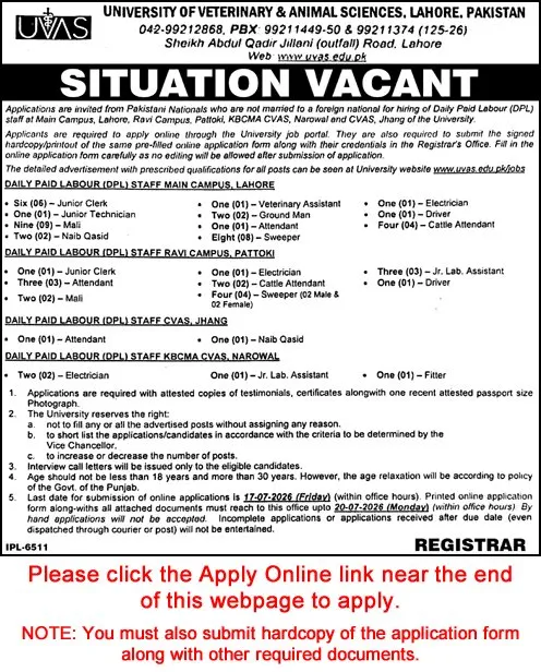 Job Advertisement - University of Veterinary and Animal Sciences Jobs June 2026 July Apply Online Clerks, Sweepers, Mali & Others UVAS Latest
