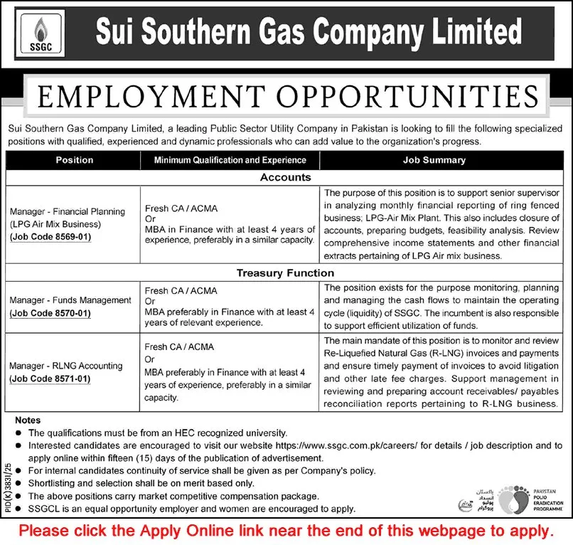 Job Advertisement - Manager - Financial Planning, Manager - Funds Management, Manager - RLNG Accounting