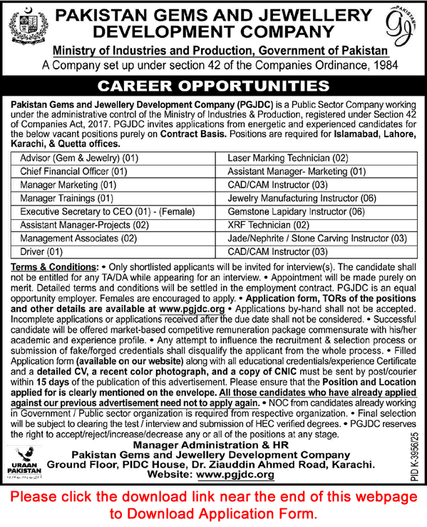 Job Advertisement
