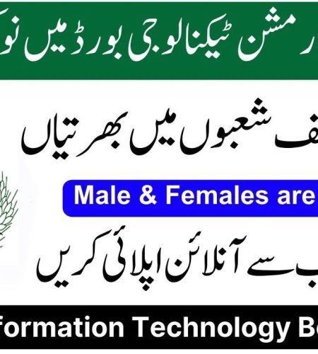 Punjab Information Technology Board (PITB) Jobs 2023 – Apply Online