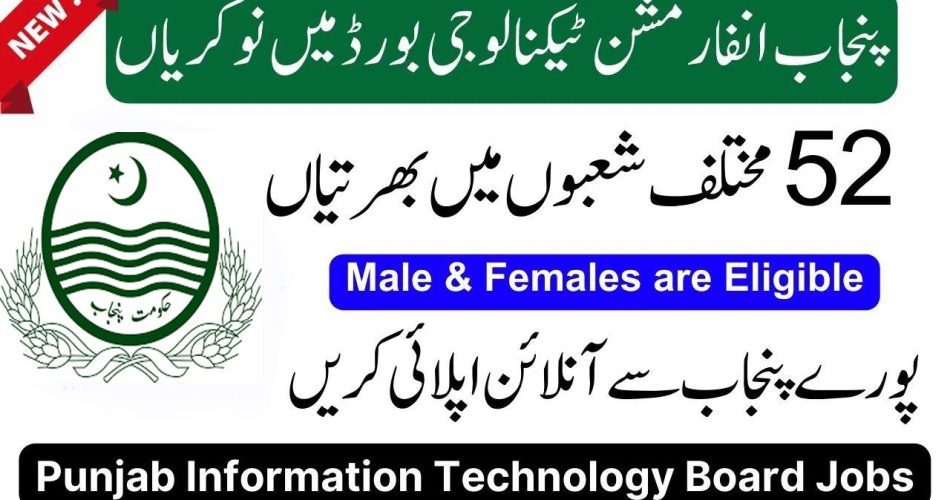 1694206364 Punjab Information Technology Board PITB Jobs 2023 – Apply Online