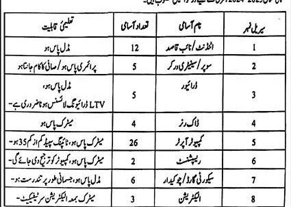Punjab Primary & Secondary Healthcare Department Latest Jobs 2023
