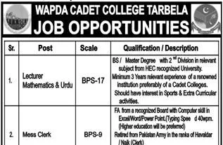 Advertisement For Wapda Jobs 2023