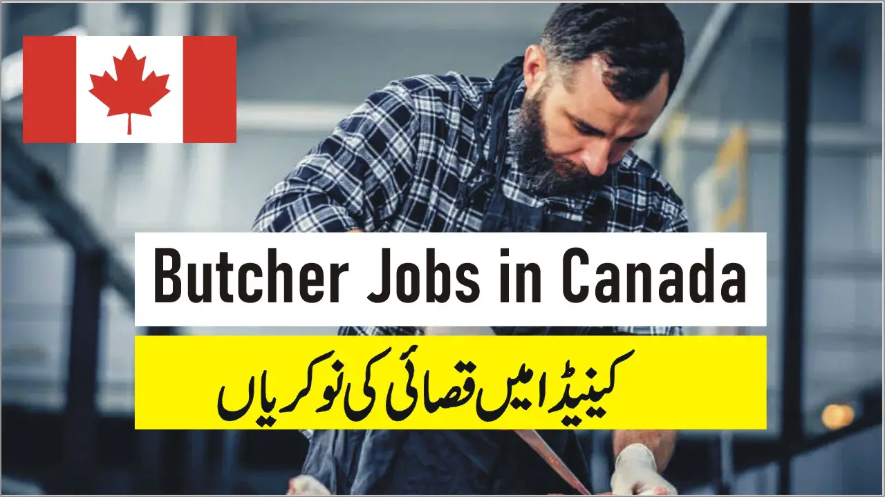Butcher Jobs in Canada with Visa Sponsorship – Apply Online Now