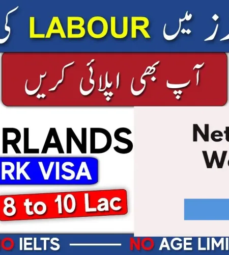 Netherlands Work Visa Without Job Offer – How To Apply
