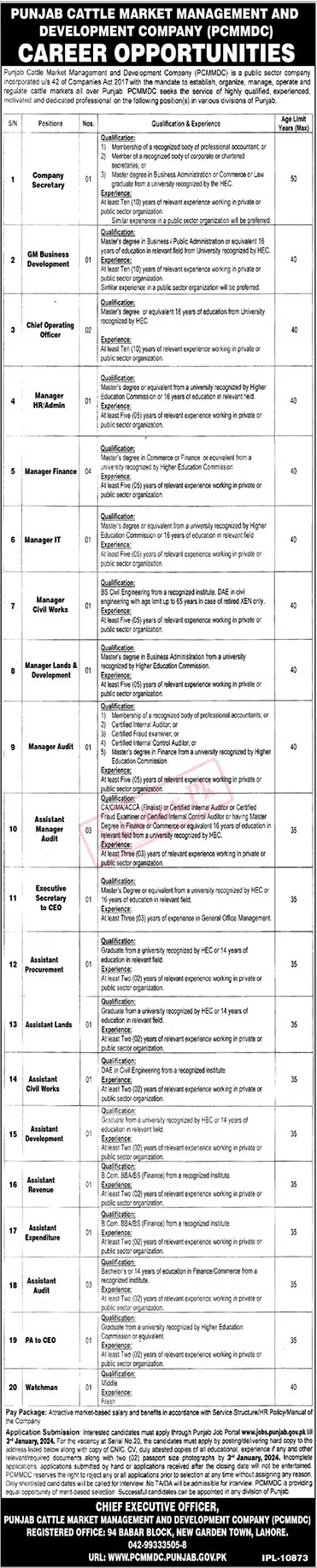 PCMMDC Jobs 2024 – Apply Online via www.jobs.punjab.gov.pk 2 svg%3E