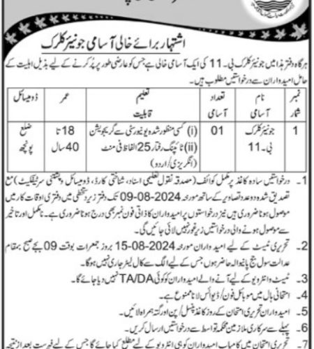 Clerk job at Civil Judge Office | Find Pak Jobs