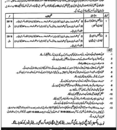 District Health Authority Faisalabad Jobs 2025 | Find Pak Jobs