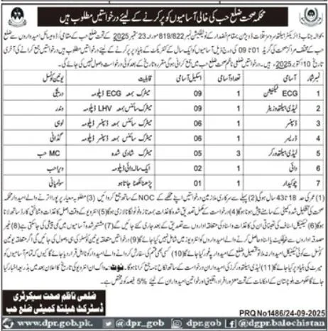District Health Committee Hub Jobs 2025 for Dispenser | Find Pak Jobs 2 Job poster
