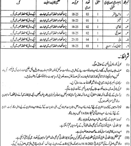 Governor House Lahore Jobs 2025 | Find Pak Jobs