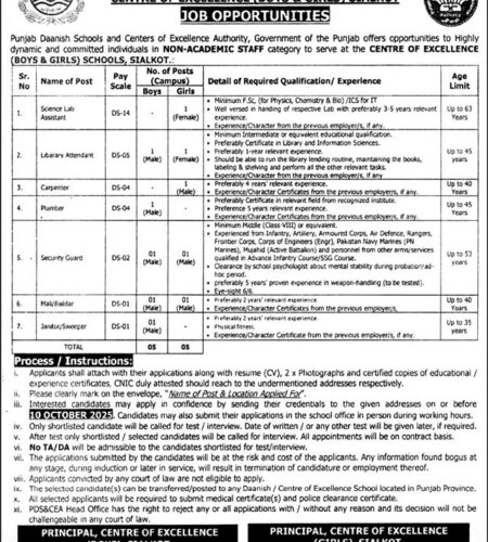 Latest Punjab Daanish Schools Sialkot Jobs 2025 | Find Pak Jobs